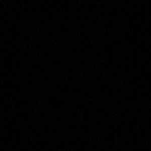 Meet your Posher, Chandler